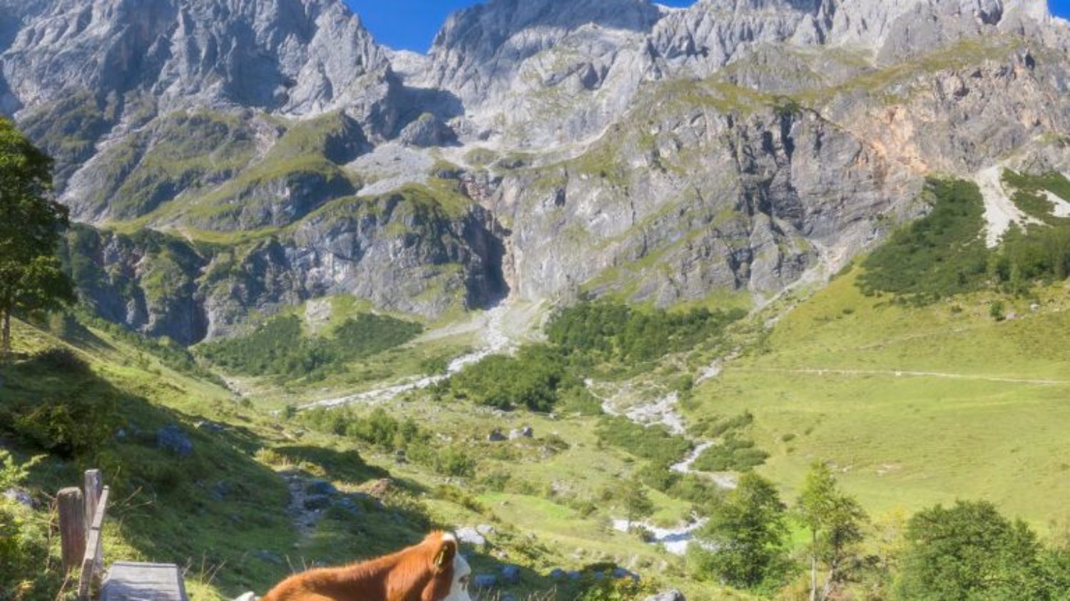 Bischofshofen Almdorf Chalet BERGHERZ