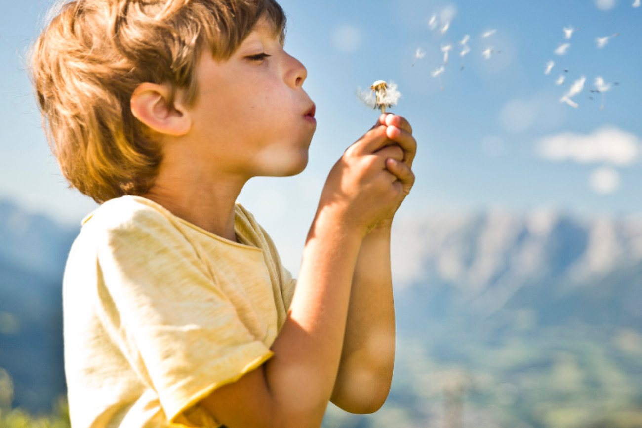 familienchalet oesterreich sommer