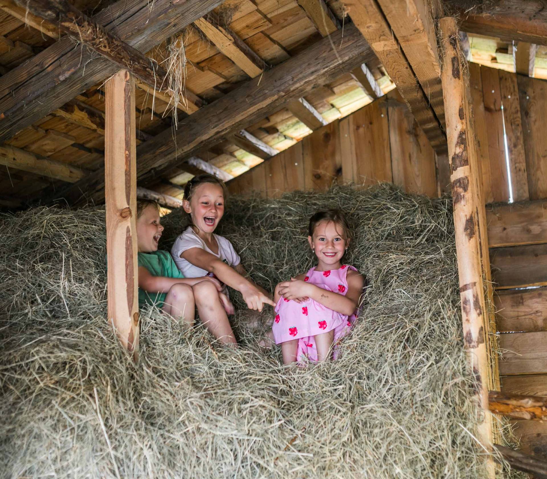 Familienurlaub in der eigenen Almhütte in Österreich