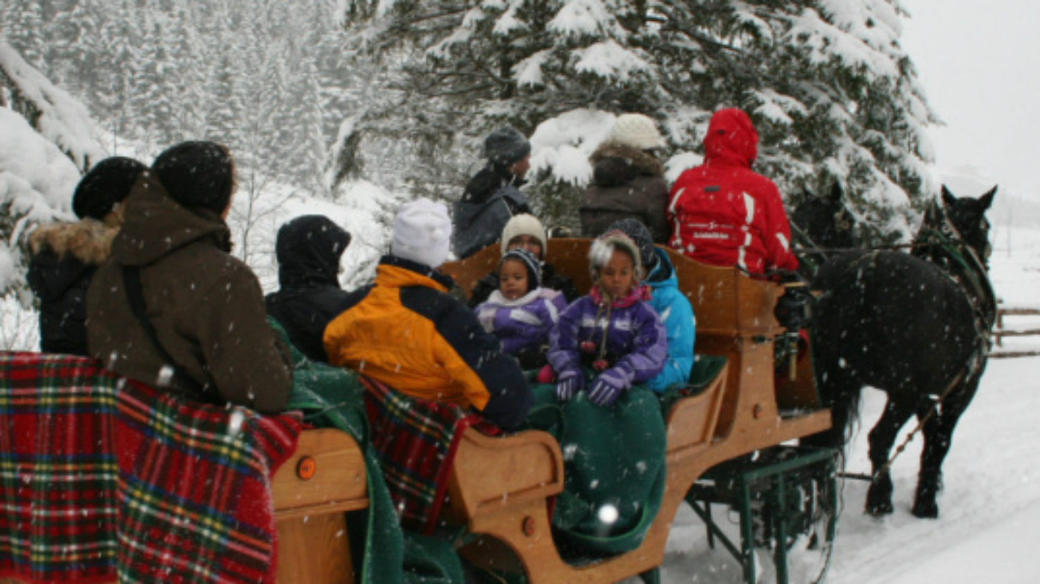 Pferdeschlitten Fahrt im Winter im Chalet in St Johann